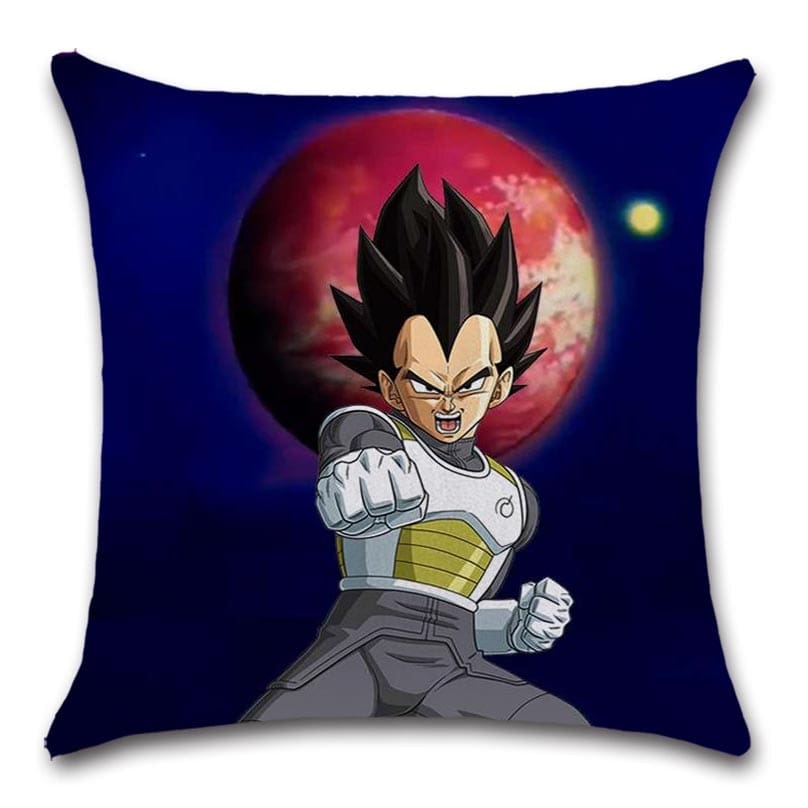 HoussedeCoussinDBZVegeta.jpg